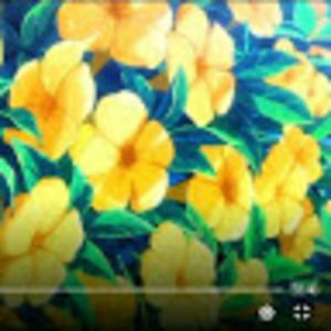 Meet your Posher, Isaura